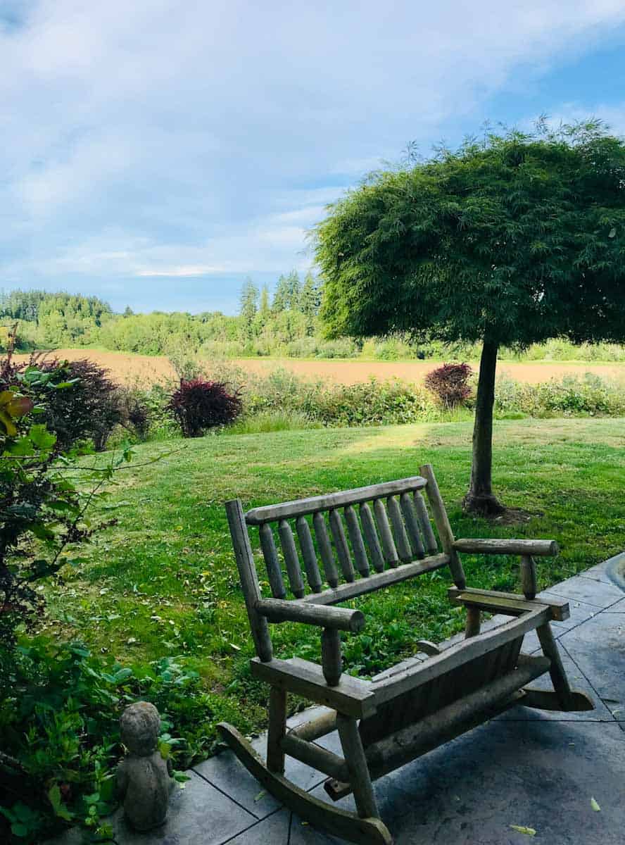 A view of my mother-in-law's very green backyard property in Oregon. Don't sit on the wooden bench because the seat is gone.