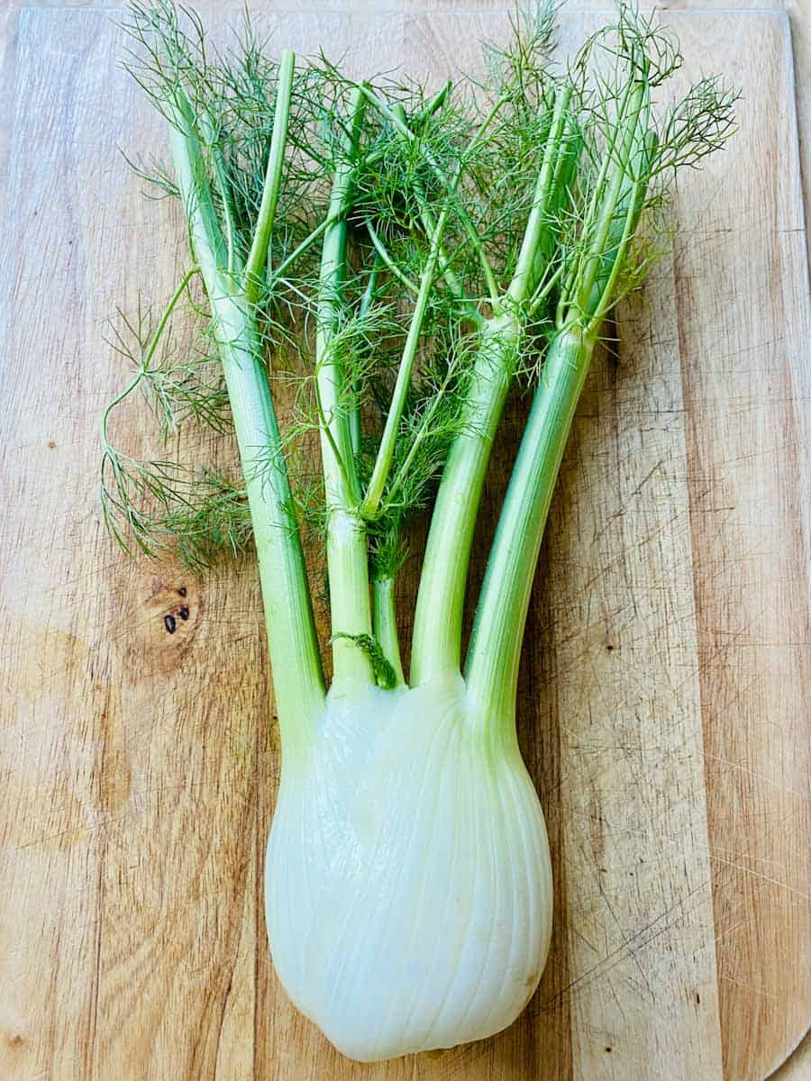Fennel bulb and fronds.