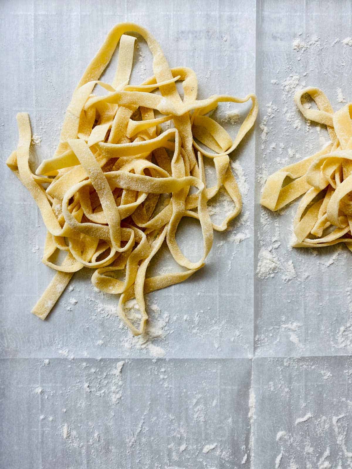 Nest of pasta noodles