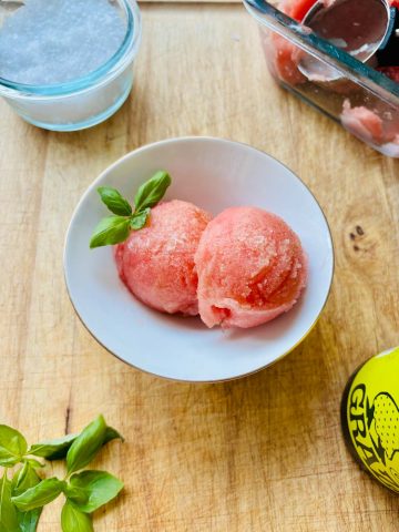 Tomato sorbet in a bowl.
